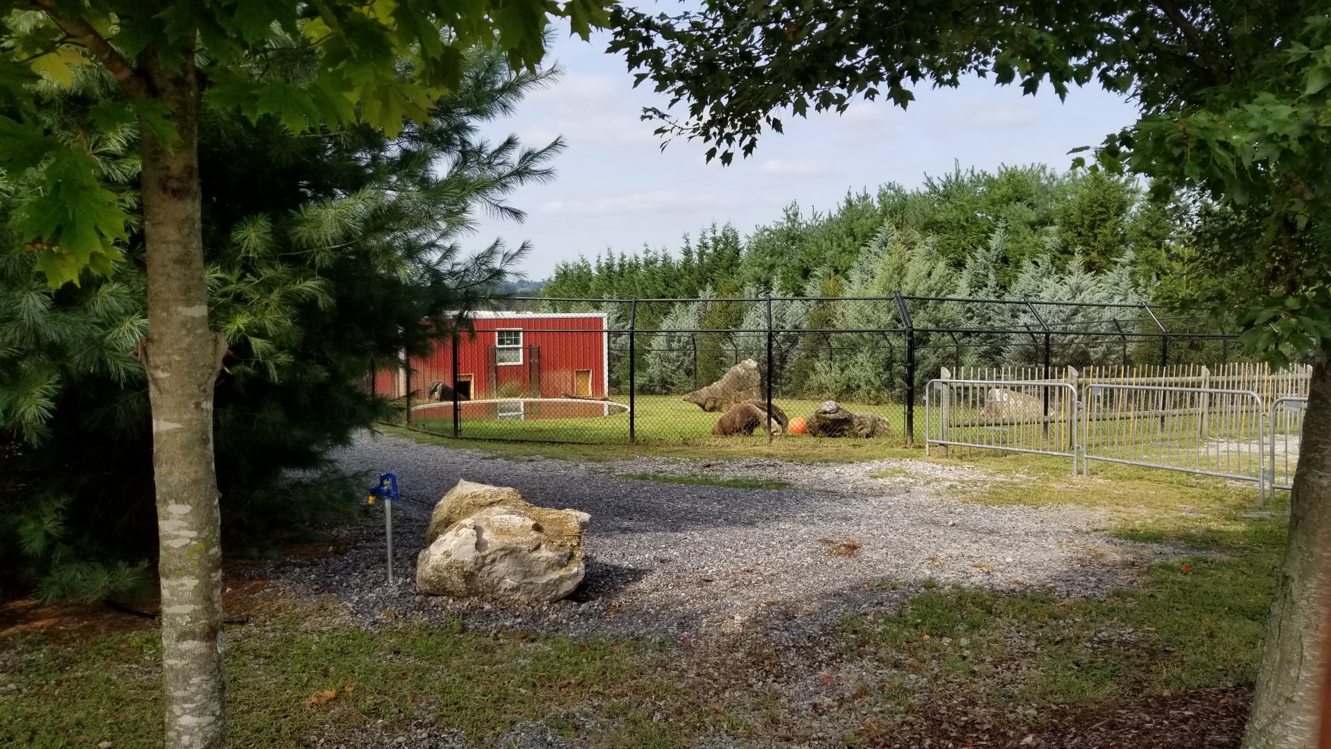 Brights Zoo - Giant Anteater yard