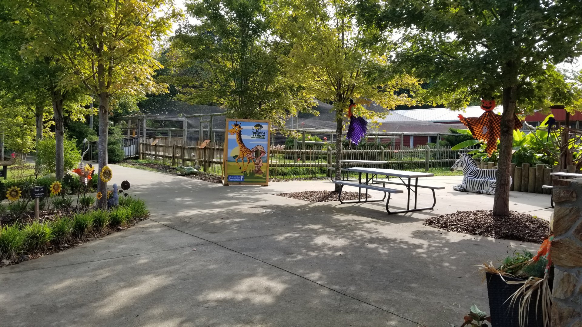 Brights Zoo - Inside entrance; Ibis exhibit