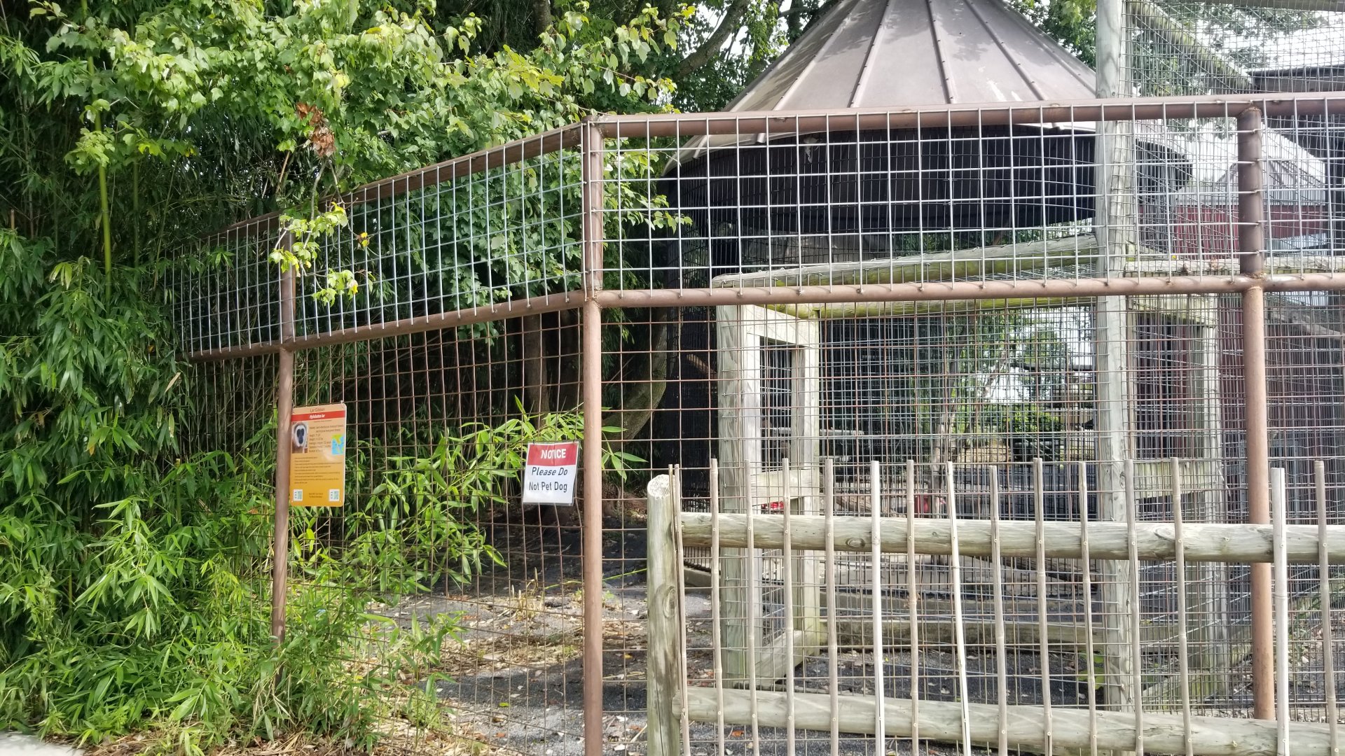 Brights Zoo - Lar Gibbon exhibit