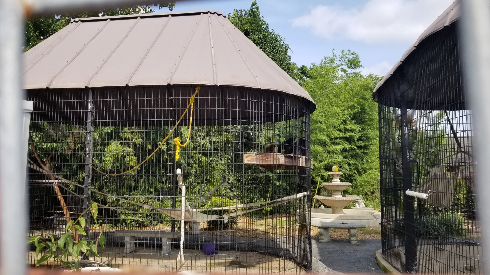 Brights Zoo - Lar Gibbon, view of home (?) on property