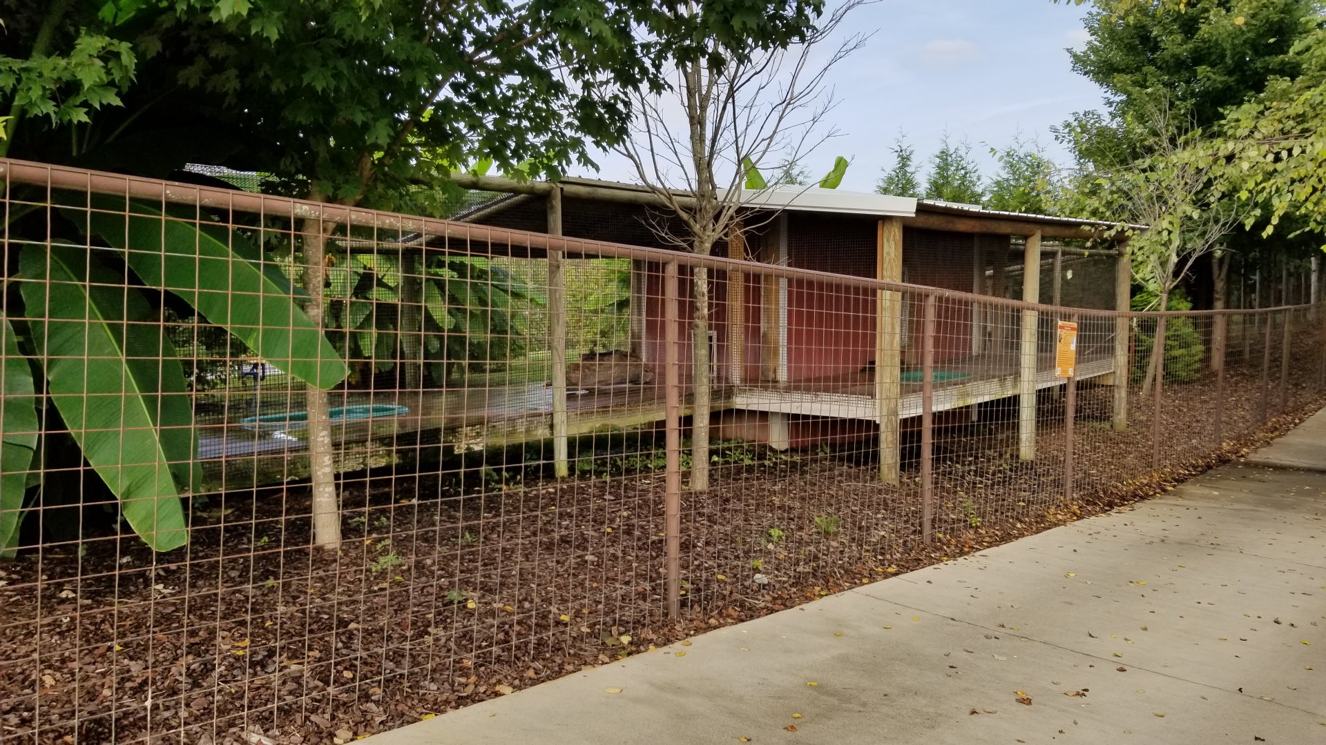 Brights Zoo - Left side of Small-clawed Otter exhibit