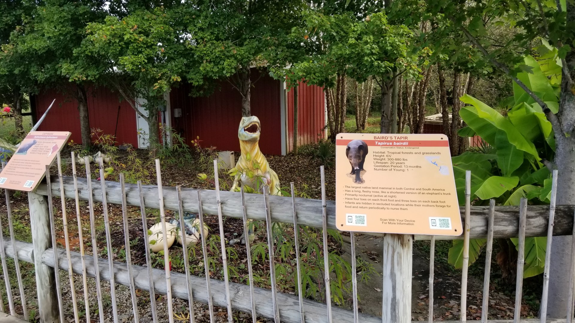 Brights Zoo - Odd dino area outside of Tapir exhibit