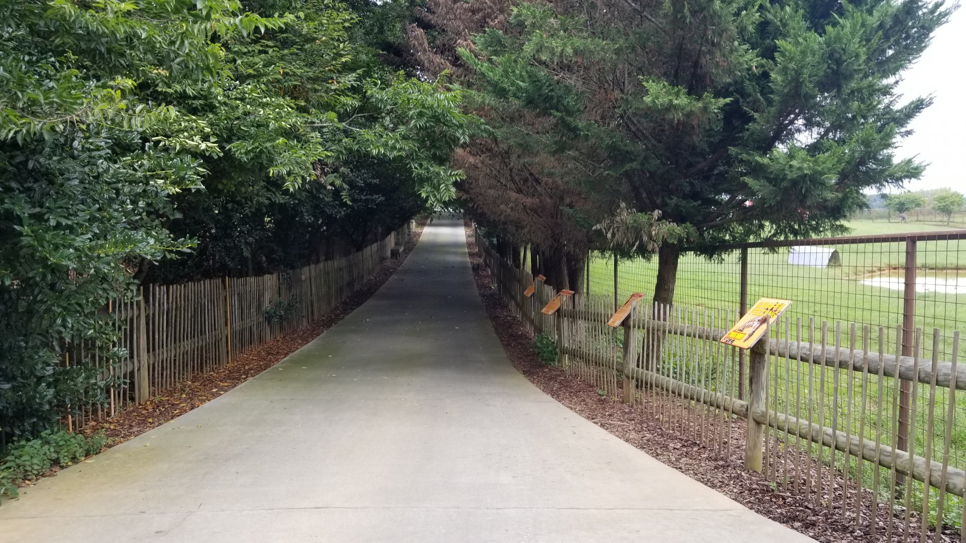 Brights Zoo - Other path to gemsbok, giraffes