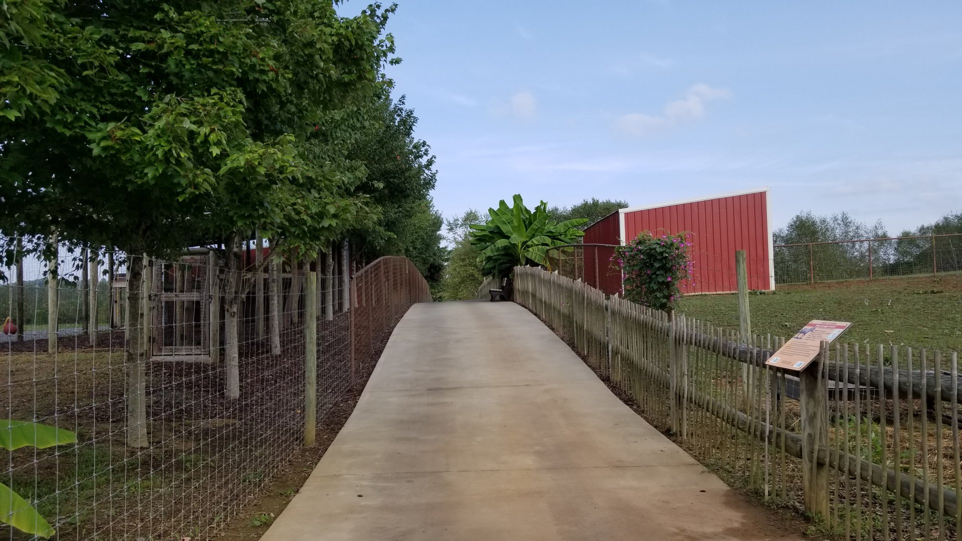 Brights Zoo - Path along left side of zoo