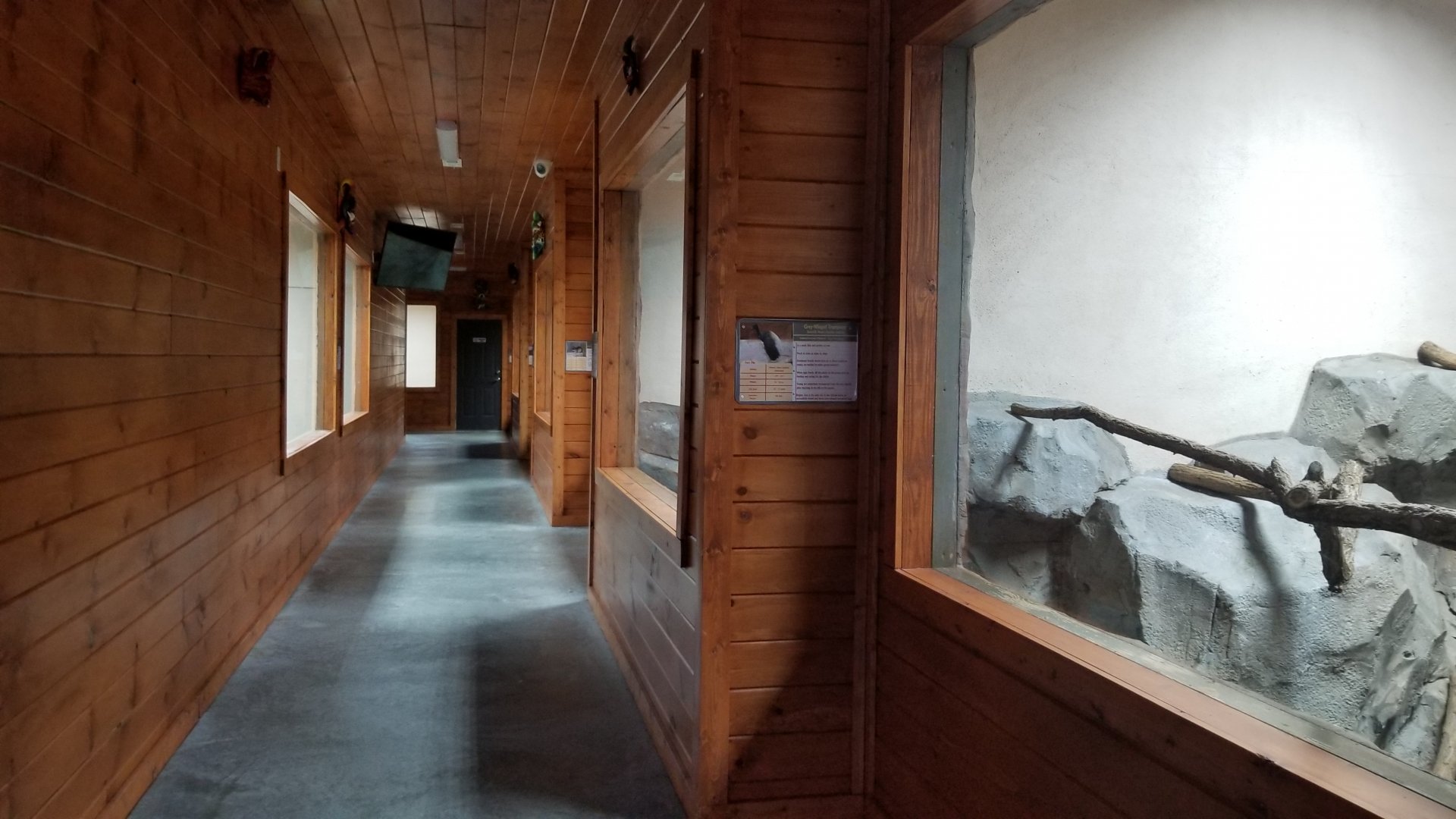 Brights Zoo - SA Building, hall (walk counter-clockwise)