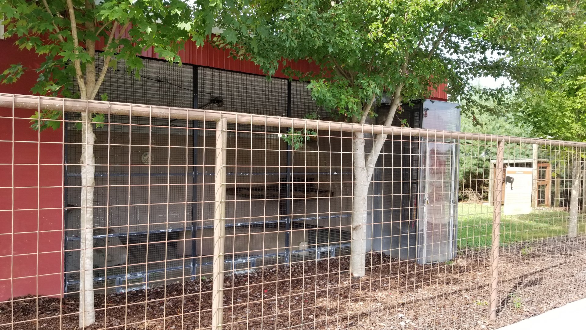 Brights Zoo - Tayra exhibit