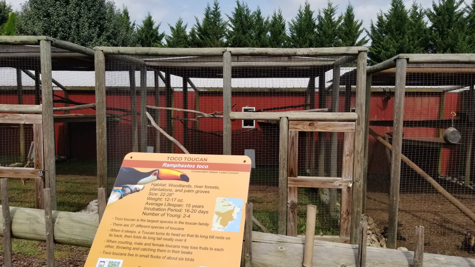 Brights Zoo - Toco Toucan