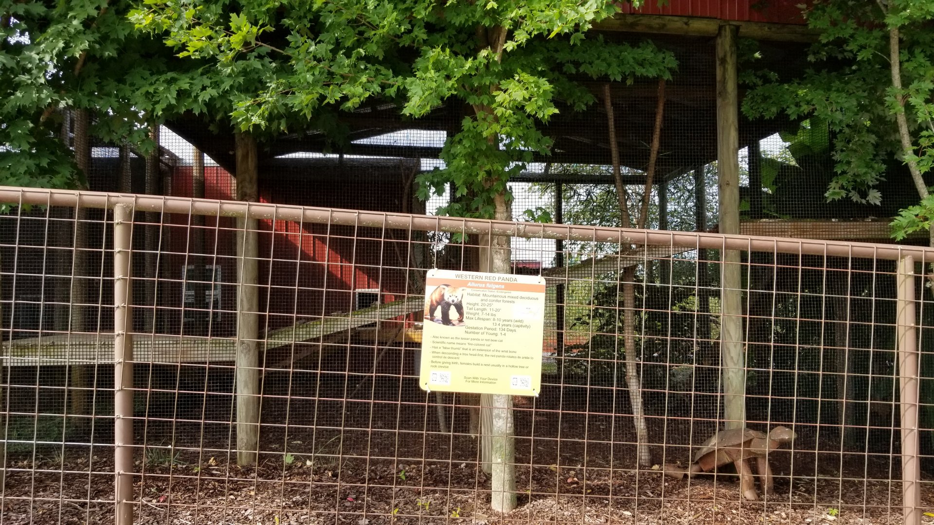Brights Zoo - Western Red Panda