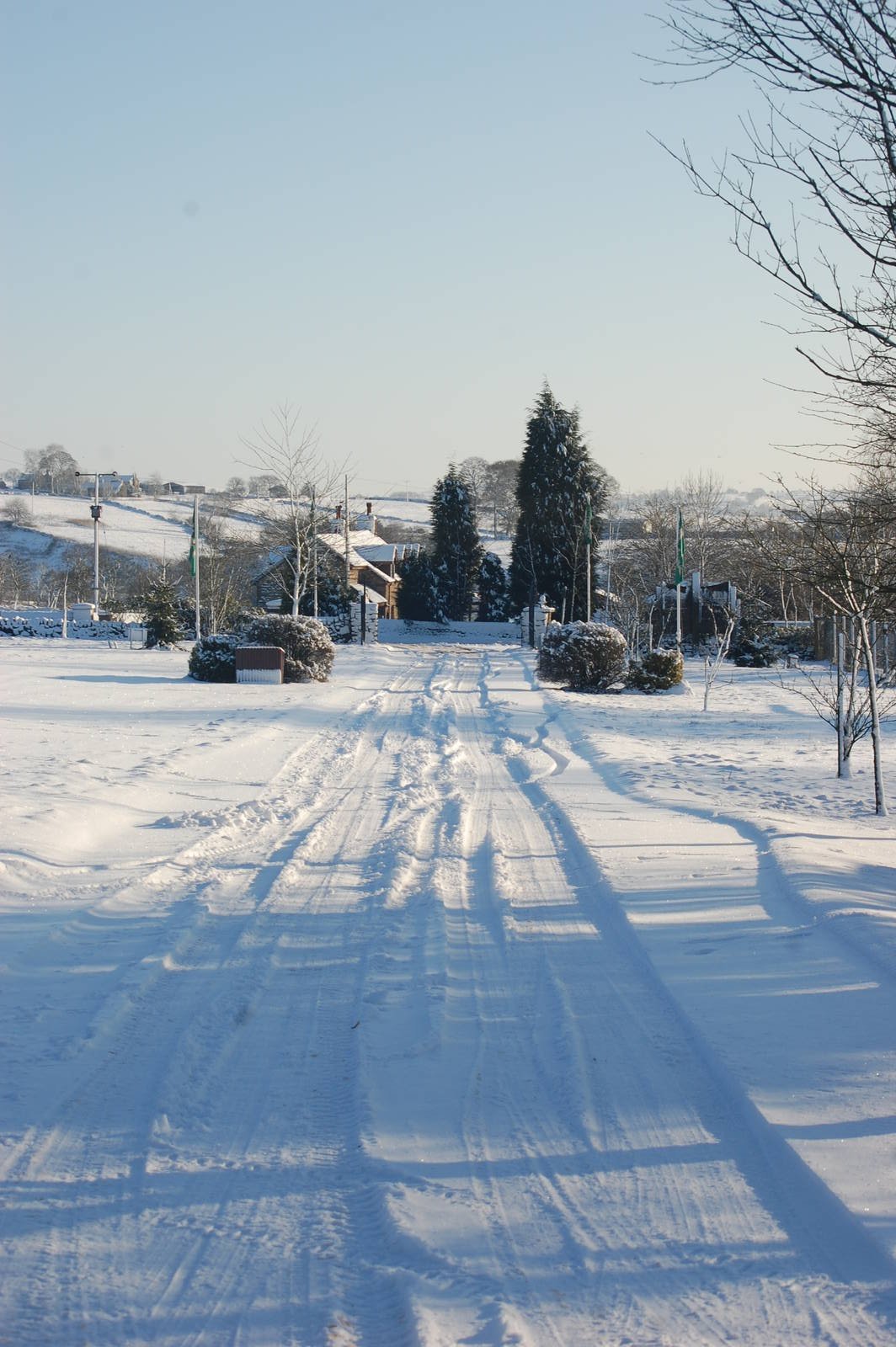 Brilliant Weather for Zoo Enthusiasts