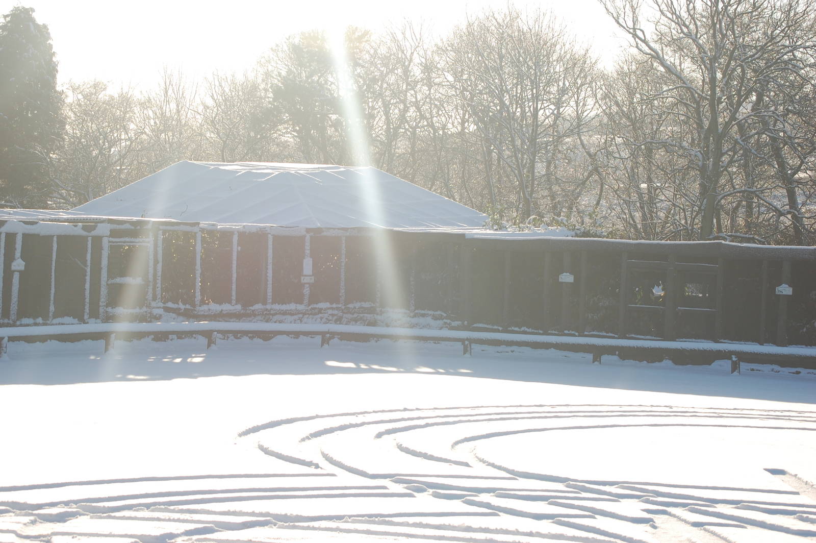 Brilliant Weather for Zoo Enthusiasts