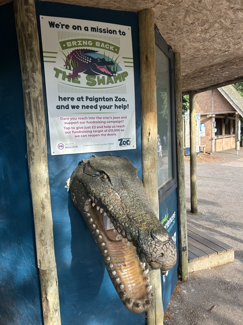 Bring Back The Swamp