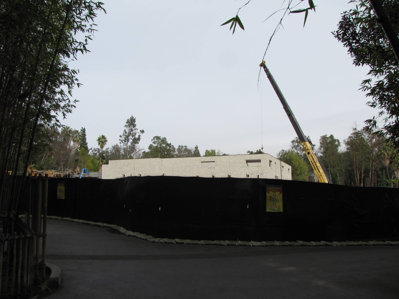 Bring In The Crane! (Pachyderm Forest Construction)