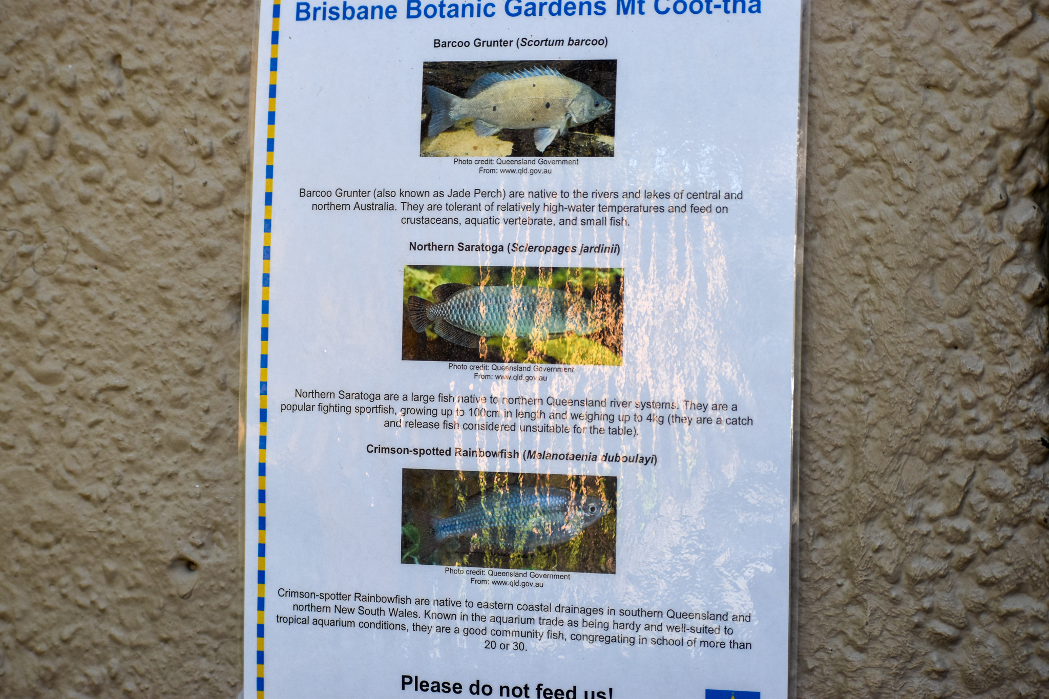 Brisbane Botanic Gardens - Tropical Dome Fish Signage