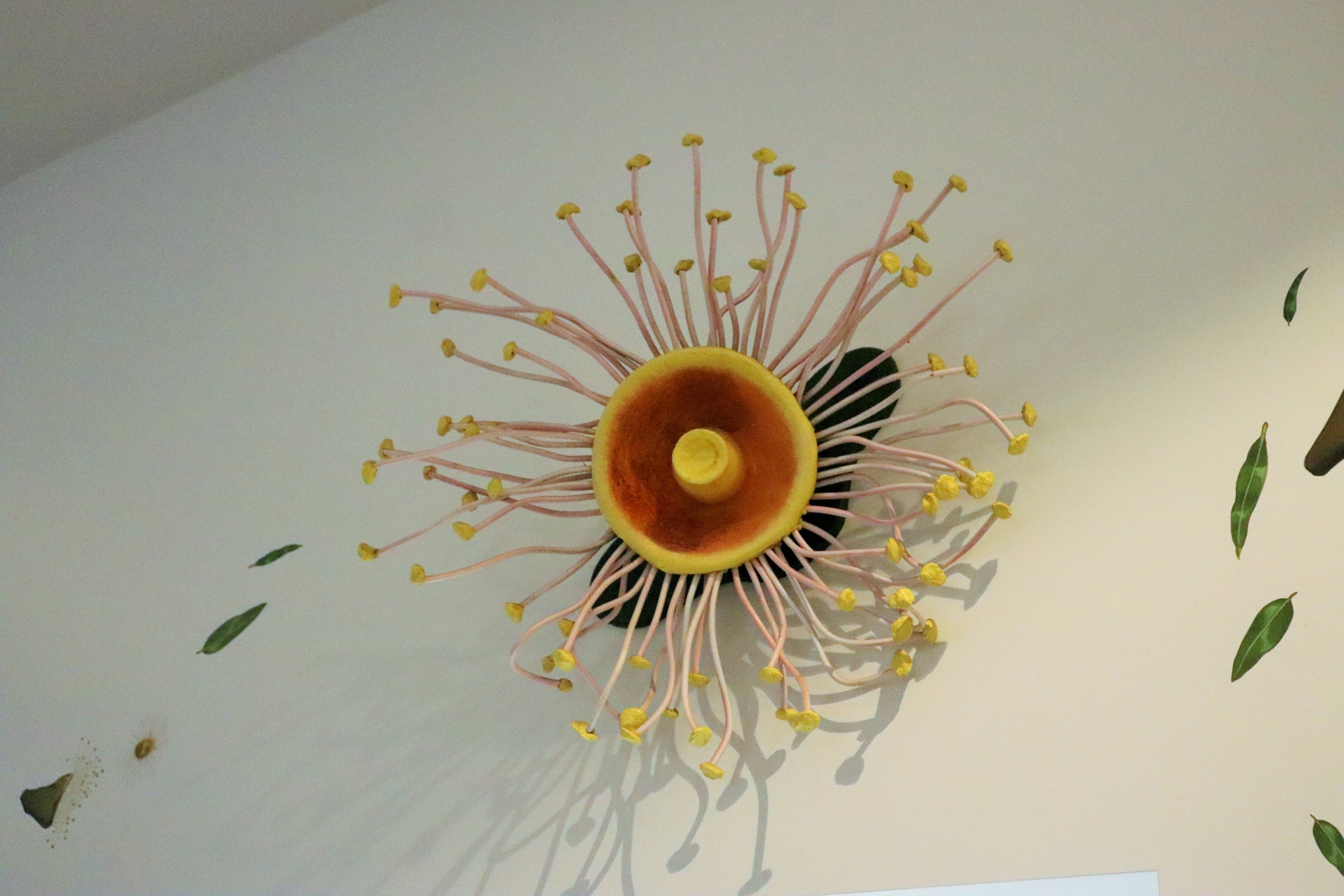 Brisbane Koala Science Institute - Eucalyptus Blossom Wall Decoration