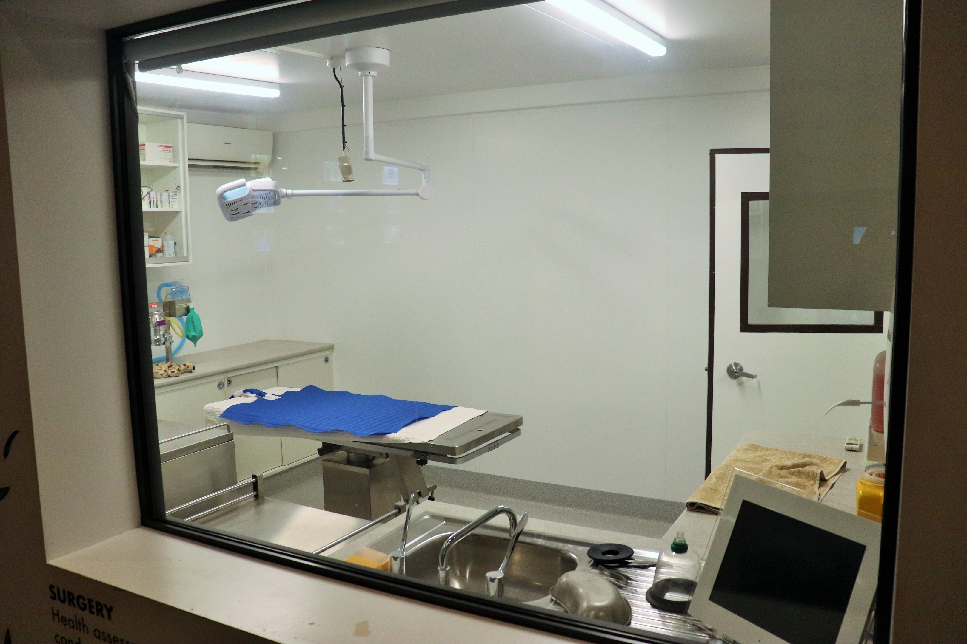 Brisbane Koala Science Institute - Viewing Window