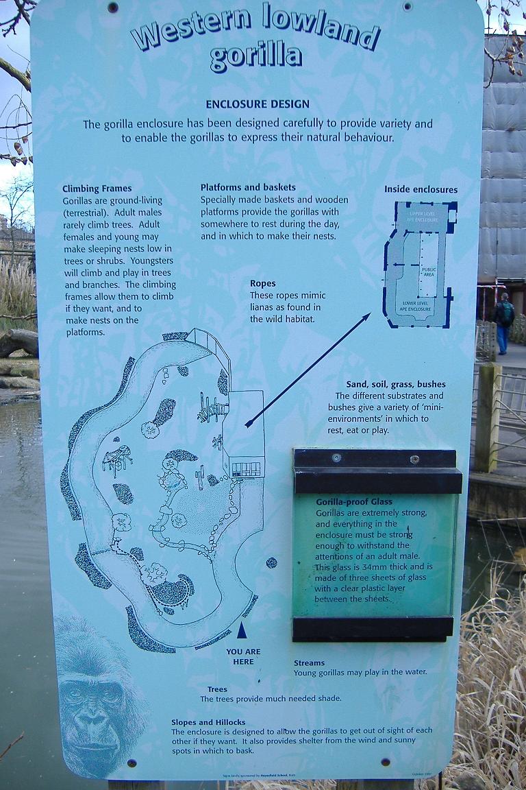 Bristol Gorilla enclosure