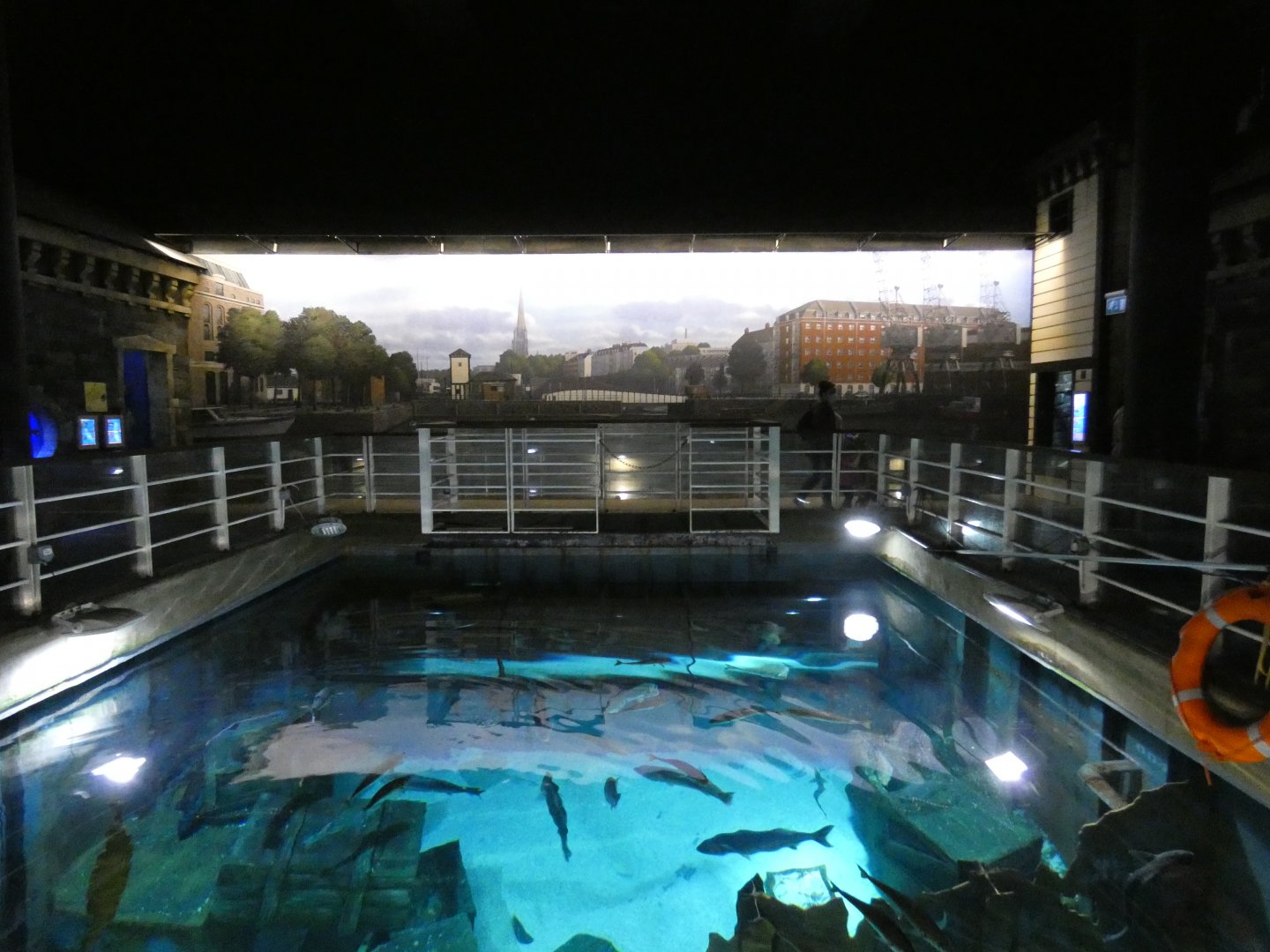 Bristol harbour exhibit