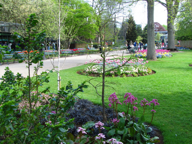 Bristol Zoo 1.05.2010