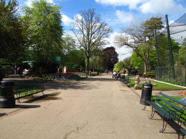 Bristol Zoo 1.05.2010