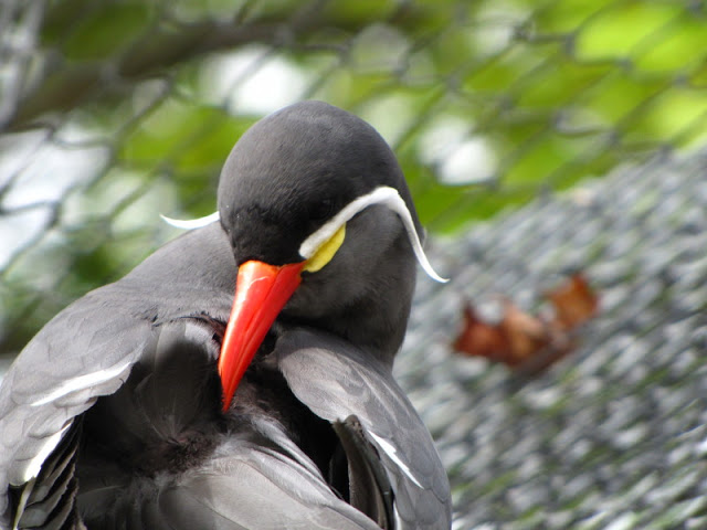 Bristol Zoo 1.05.2010