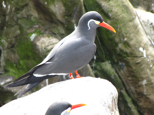 Bristol Zoo 1.05.2010