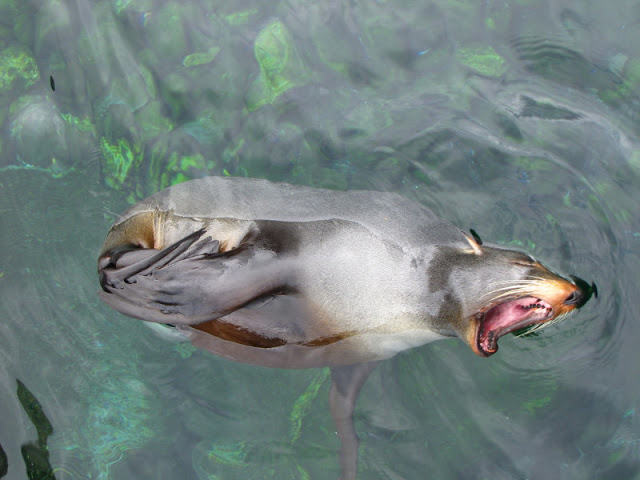 Bristol Zoo 1.05.2010