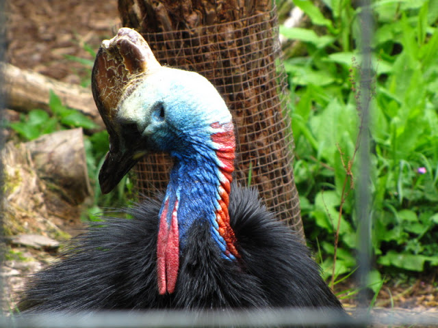 Bristol Zoo 1.05.2010
