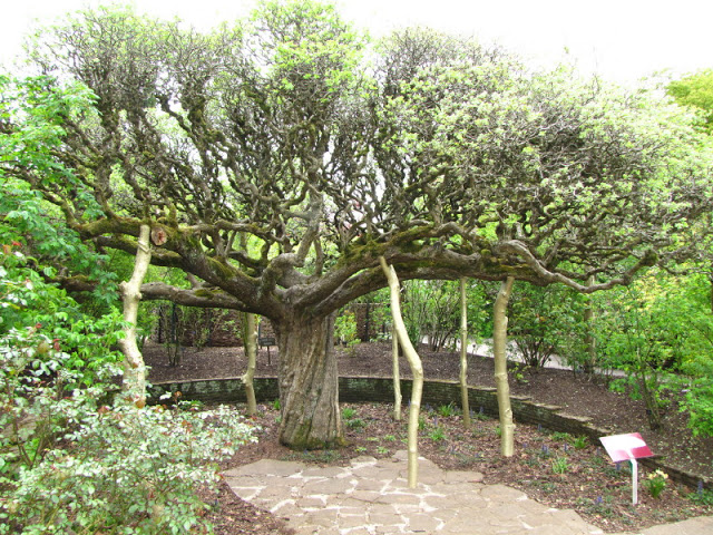 Bristol Zoo 1.05.2010