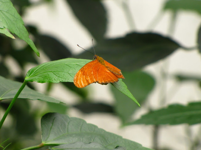 Bristol Zoo 1.05.2010
