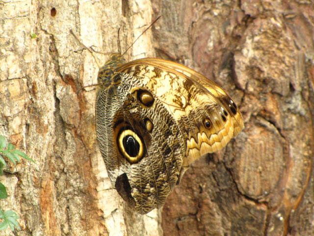 Bristol Zoo 1.05.2010