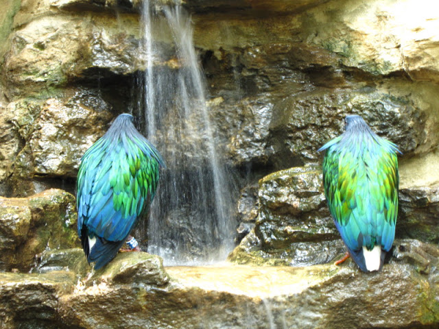 Bristol Zoo 1.05.2010