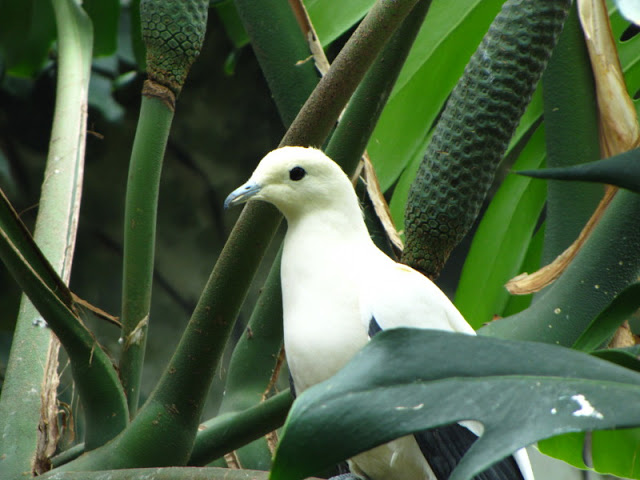 Bristol Zoo 1.05.2010