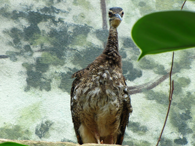 Bristol Zoo 1.05.2010