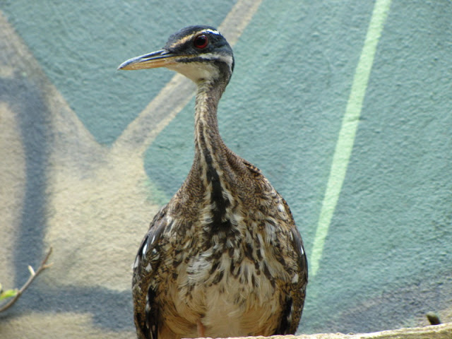 Bristol Zoo 1.05.2010