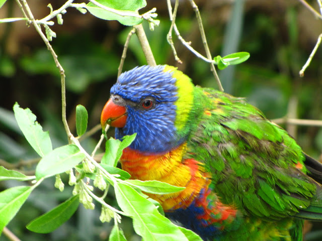 Bristol Zoo 1.05.2010