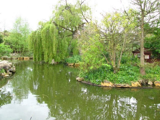 Bristol Zoo 1.05.2010