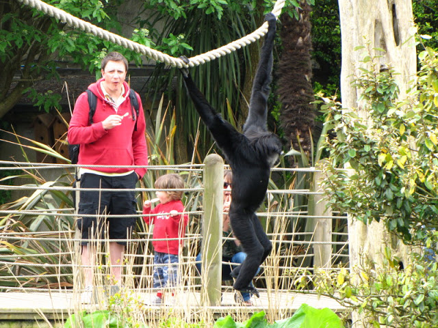 Bristol Zoo 1.05.2010