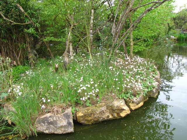 Bristol Zoo 1.05.2010