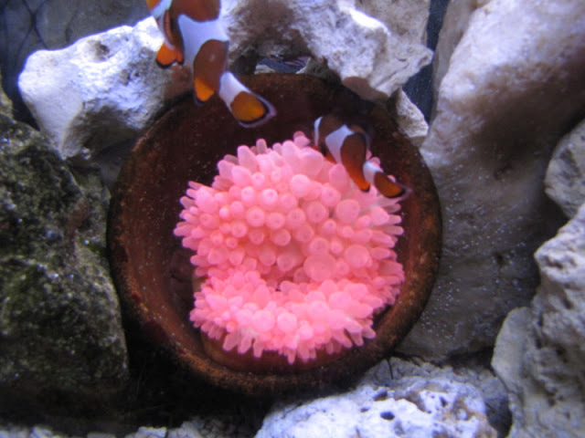 Bristol Zoo 1.05.2010