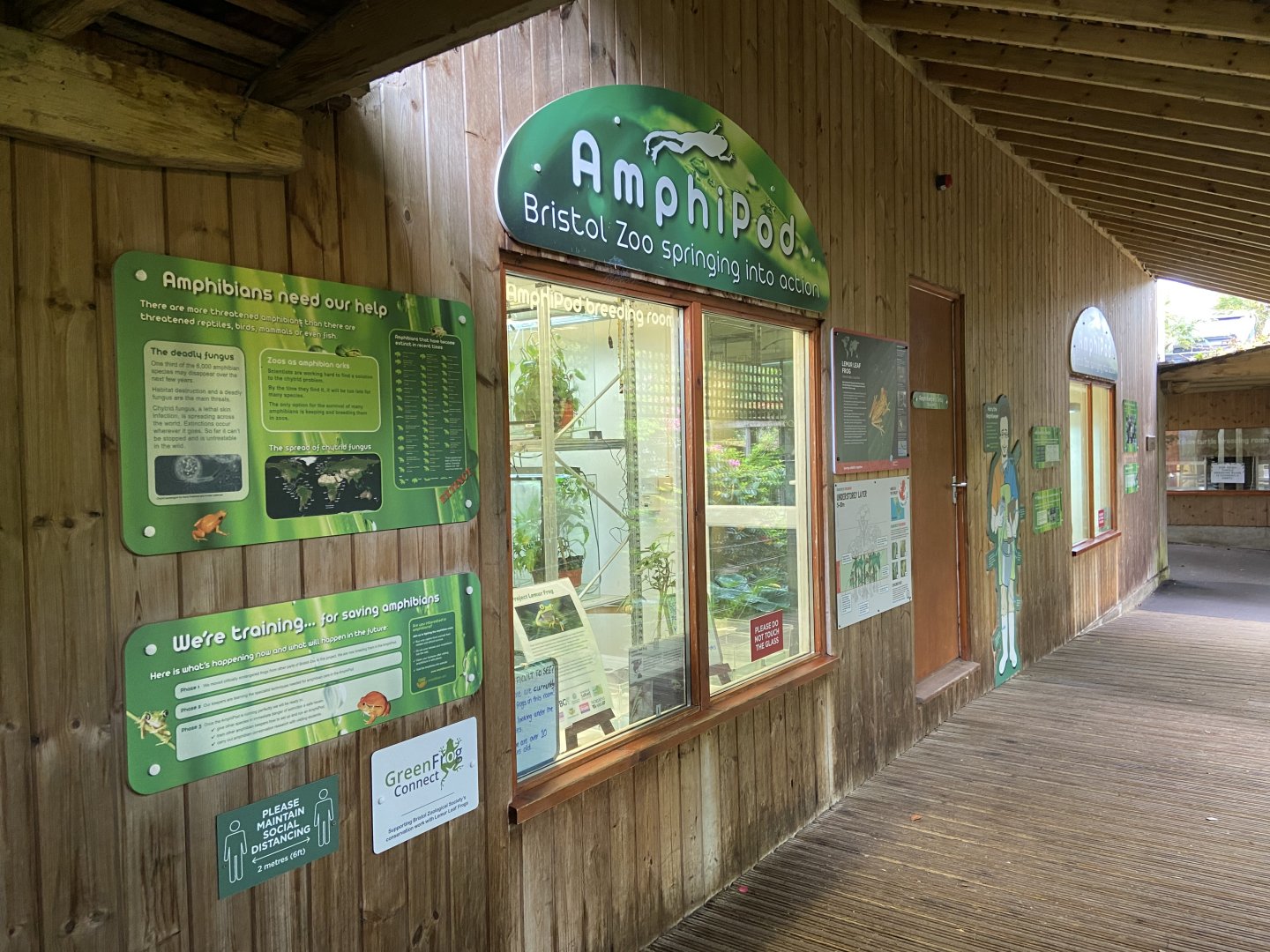 Bristol Zoo amphibians