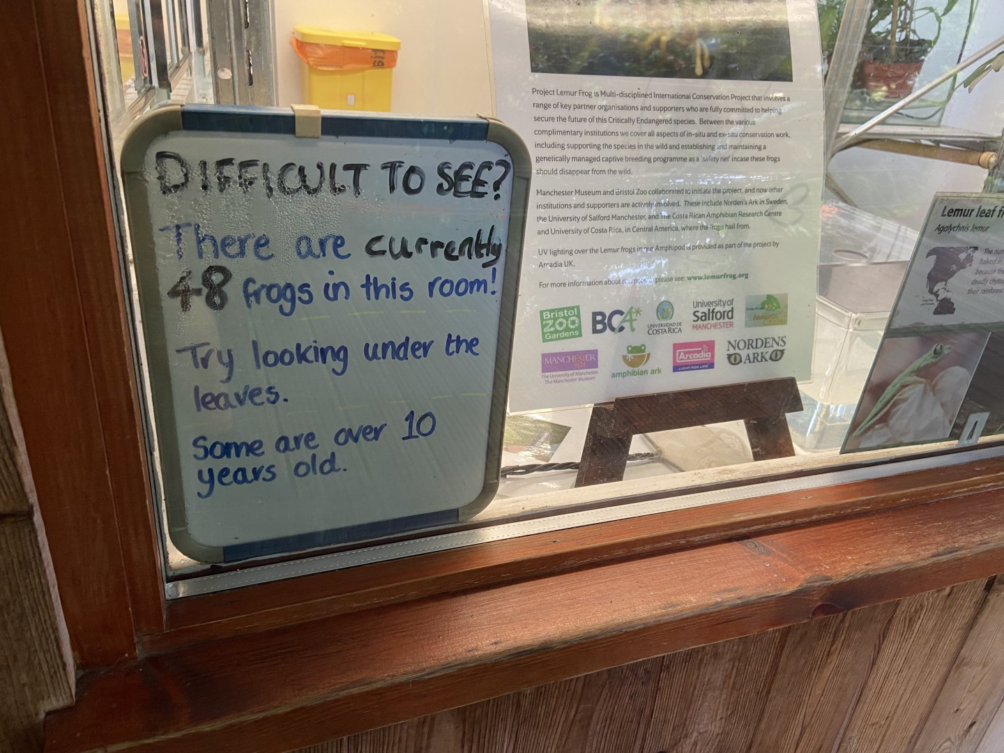 Bristol Zoo amphibians