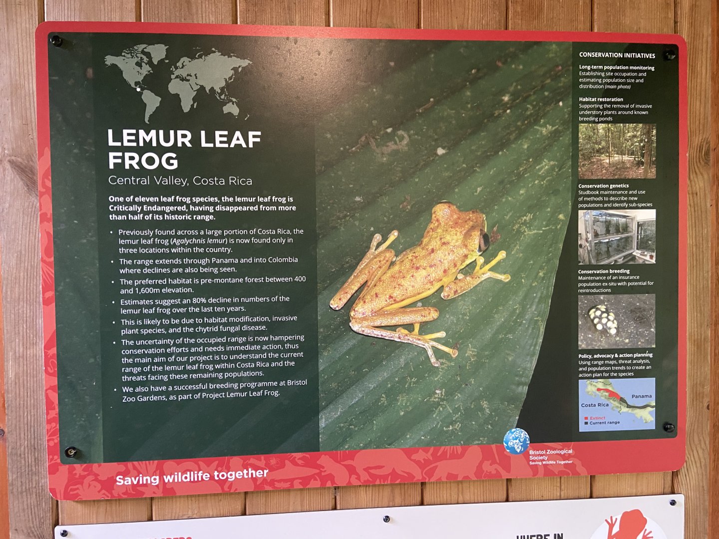 Bristol Zoo amphibians