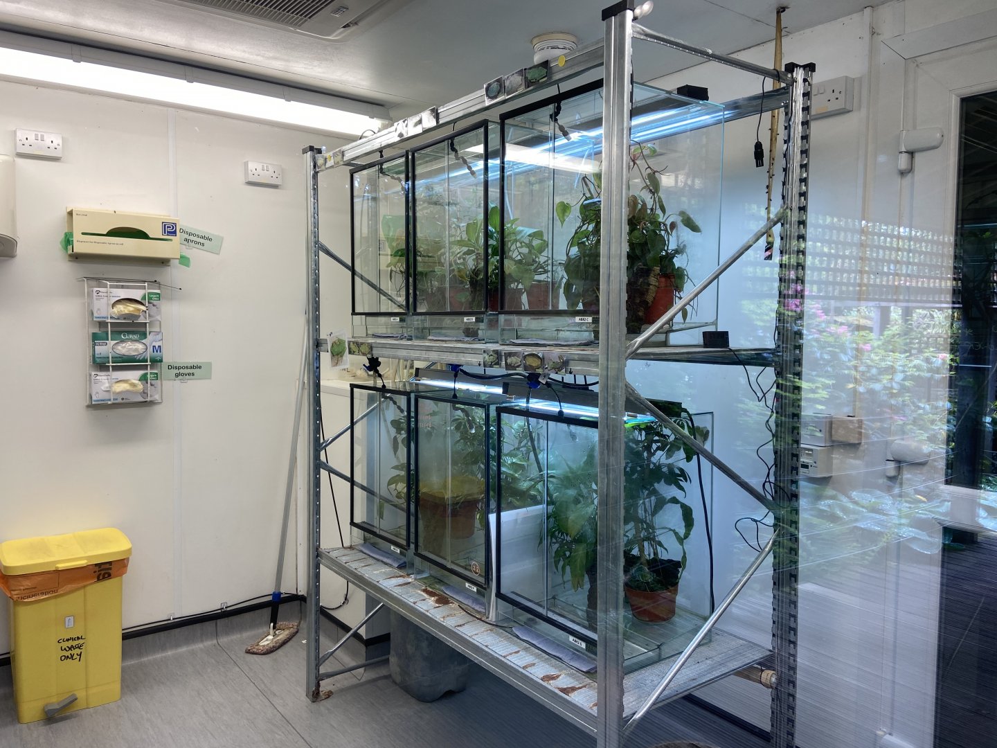 Bristol Zoo amphibians