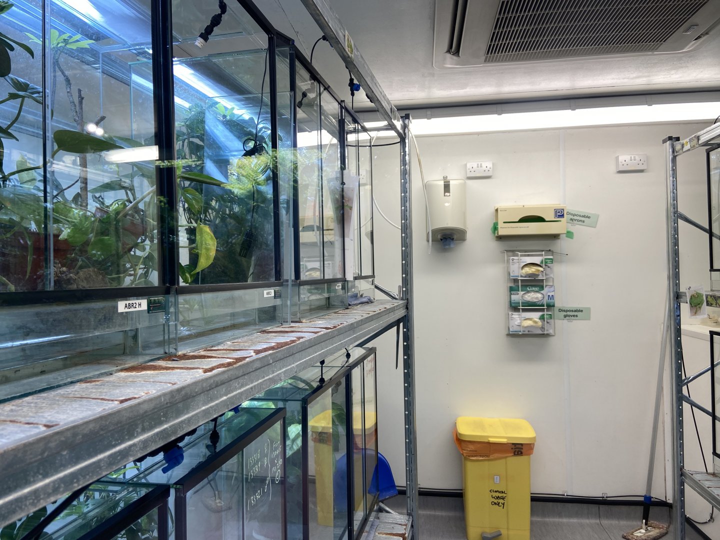 Bristol Zoo amphibians