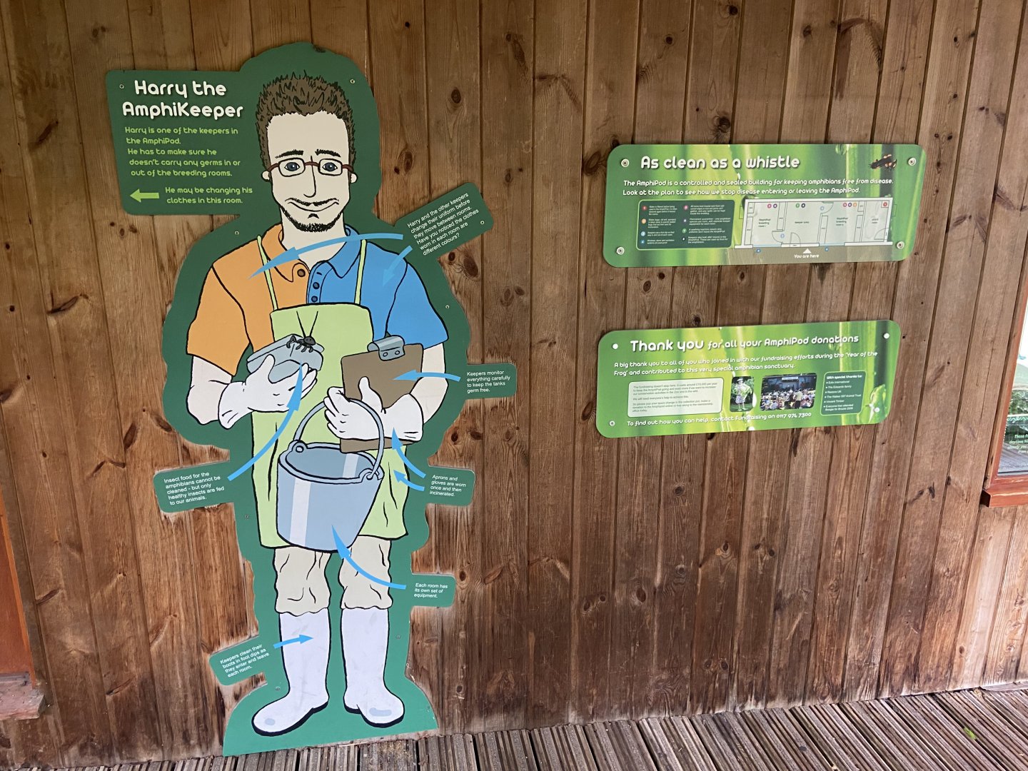 Bristol Zoo amphibians