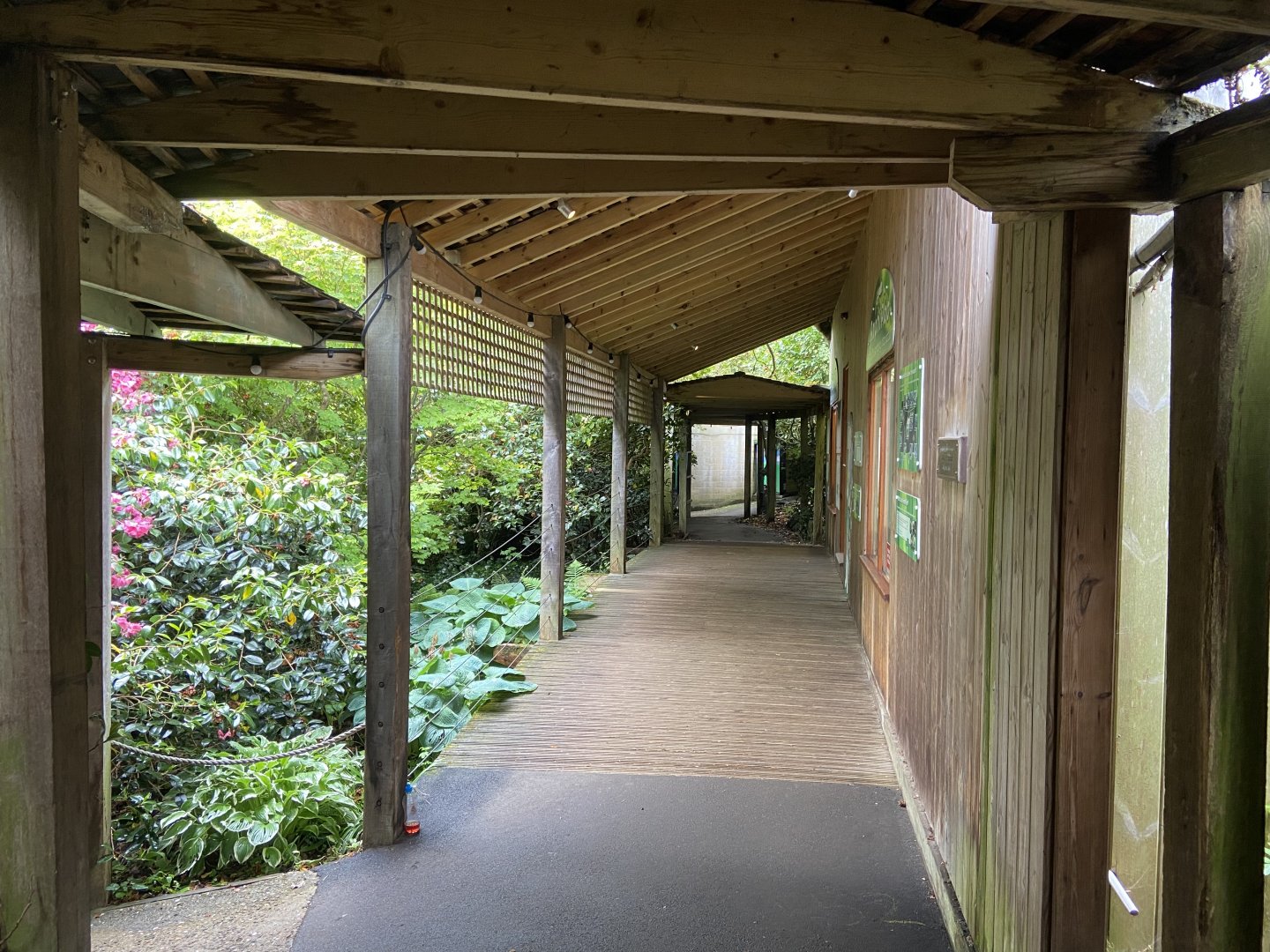 Bristol Zoo amphibians