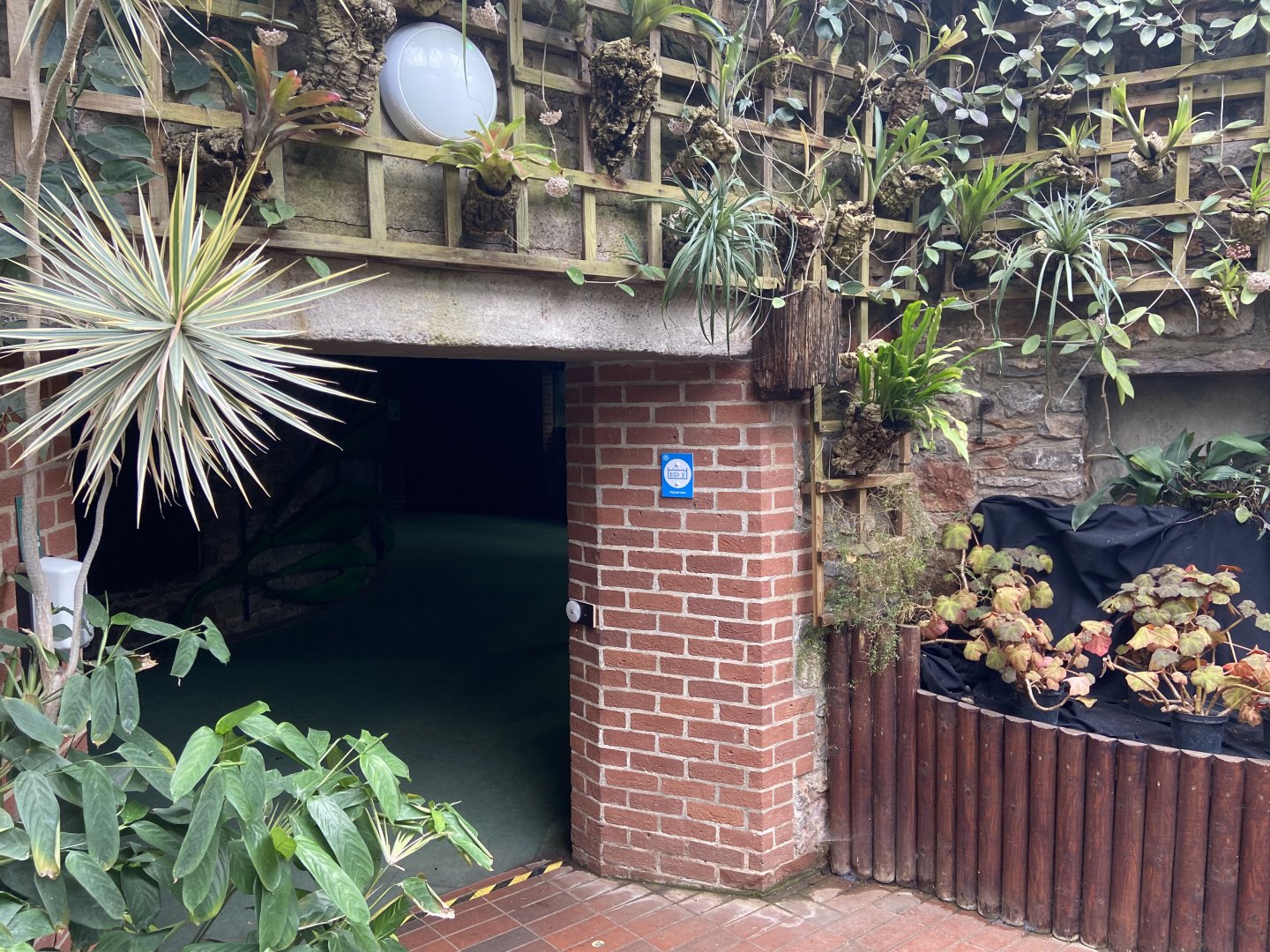 Bristol Zoo aquarium