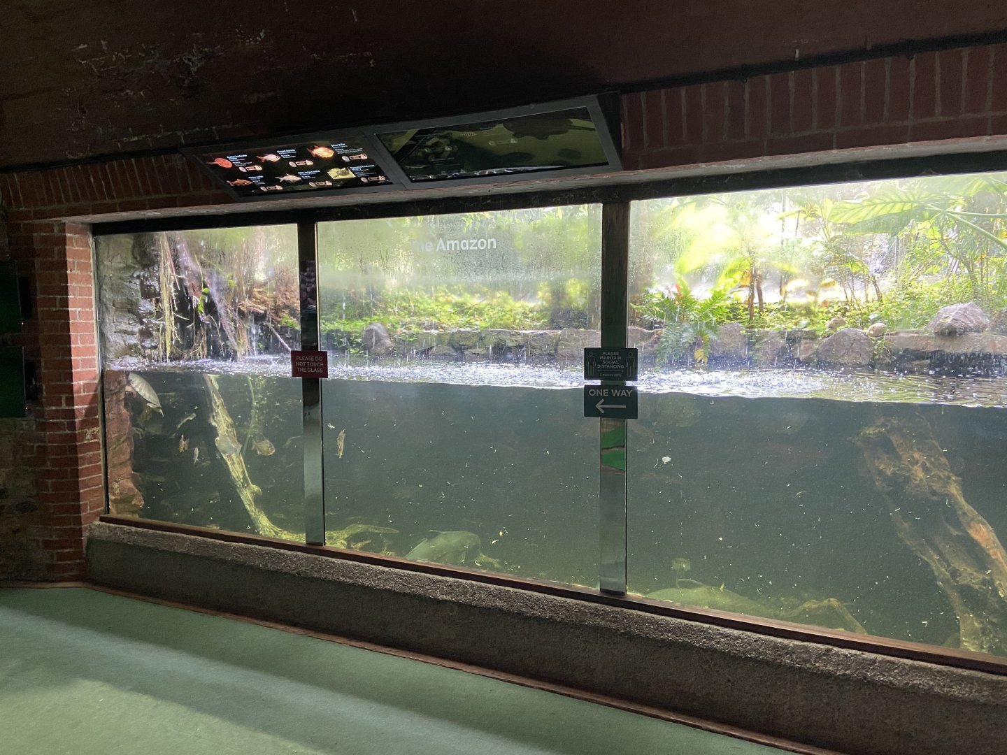 Bristol Zoo aquarium