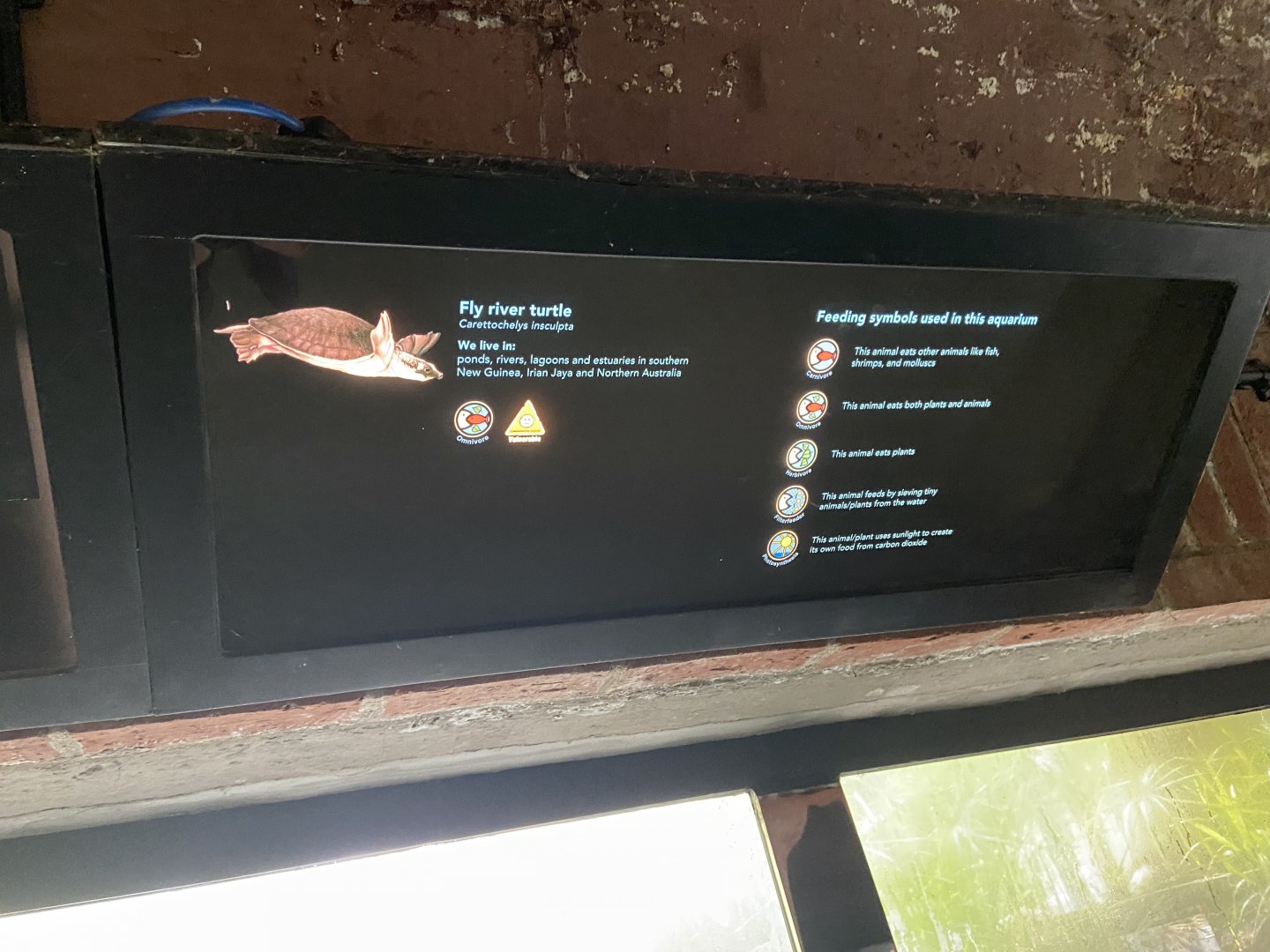 Bristol Zoo aquarium