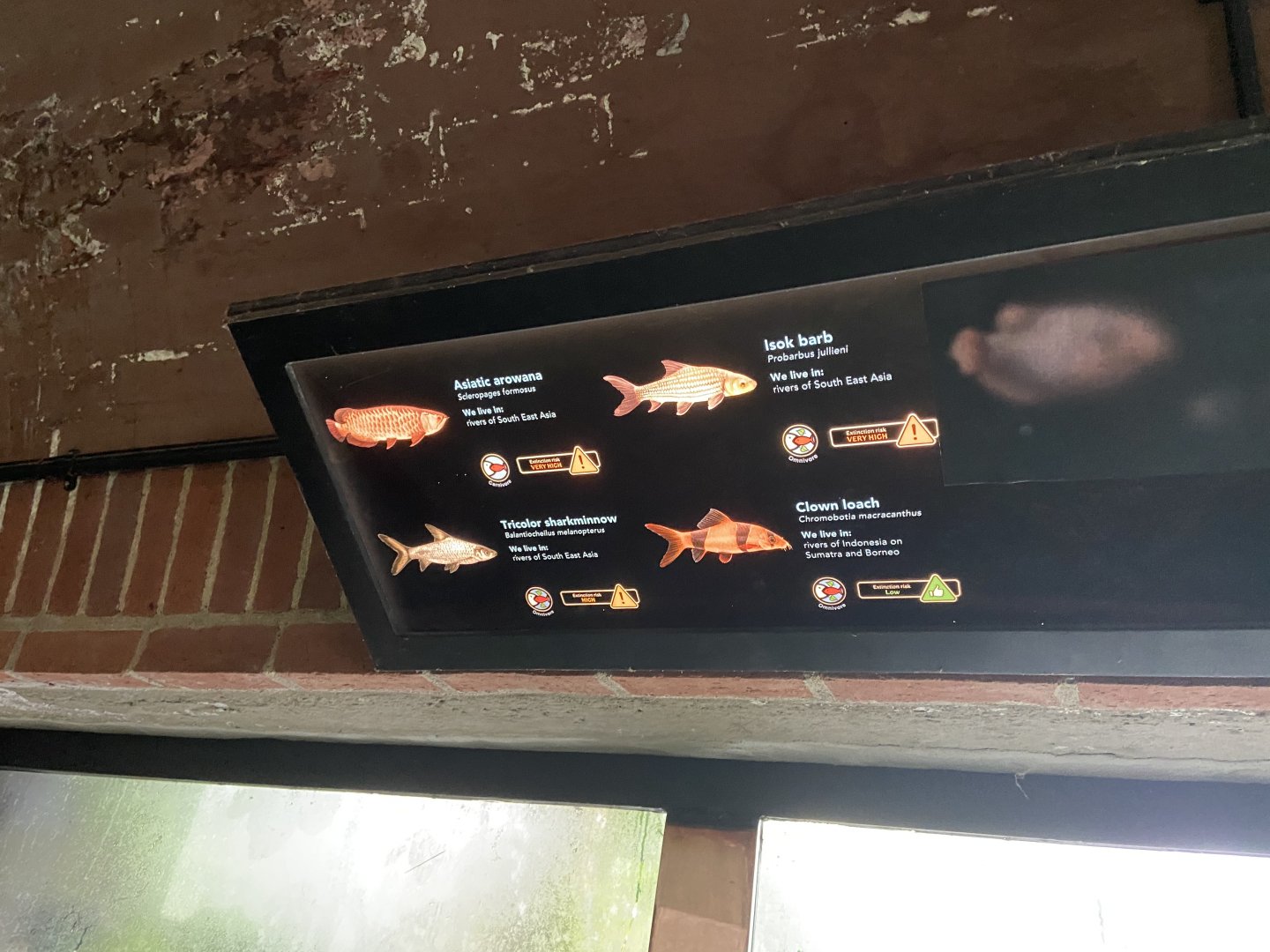 Bristol Zoo aquarium